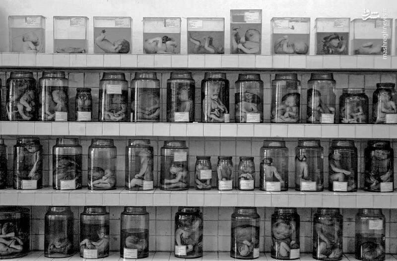 تصاویری از جنایات آمریکا در ویتنام