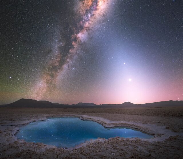 از تصاویر خیرهکننده «نیچر» تا هوش مصنوعی پشههای ناقل مالاریا را به دام میاندازد! 2