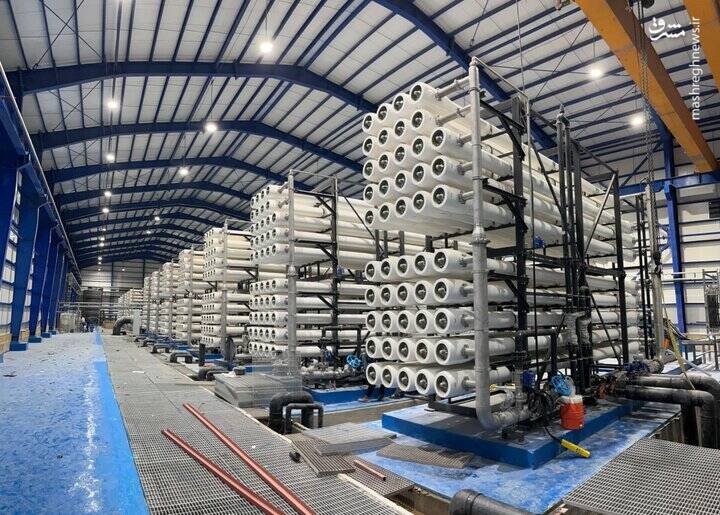 فردوسی زنده بود، از حماسه ایرانیها دهها شاهنامه مینوشت