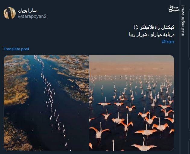 تصاویری از کهکشان راه فلامینگو