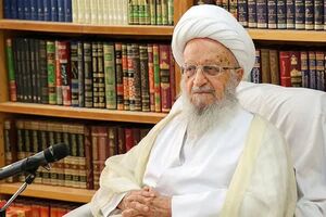 نظر آیت الله مکارم شیرازی درباره «همستر کامبت»