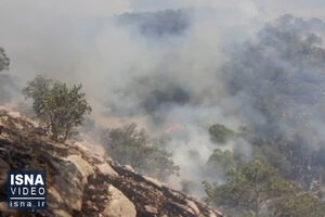 ویدیو/ شعله‌های آتش به جان جنگل‌های پاوه افتاد
