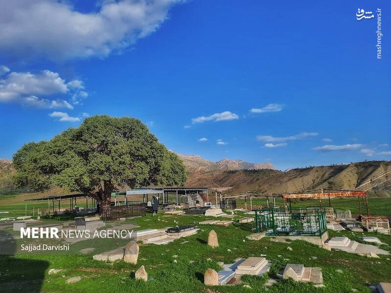 عکس / امامزاده"حیات الغیب" لرستان 4