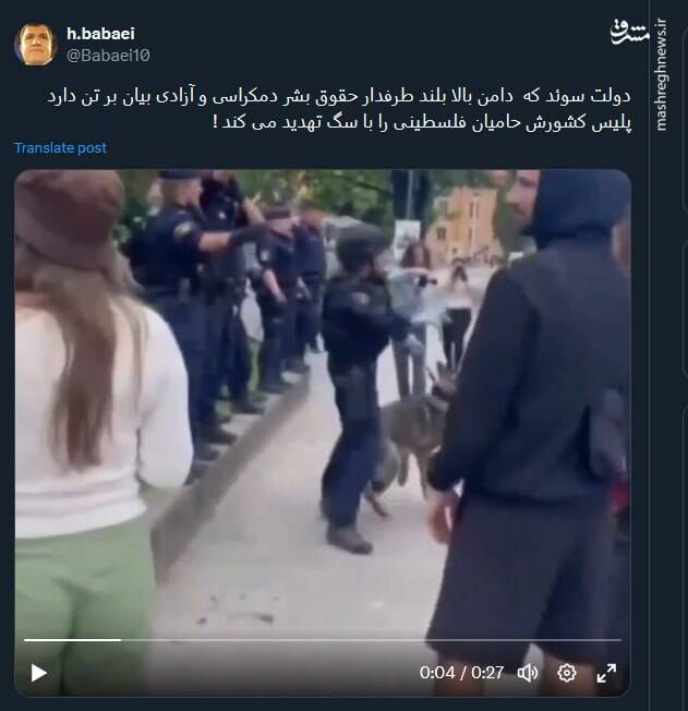 وضعیت حامیان فلسطین در مهد دموکراسی و آزادی بیان+ فیلم