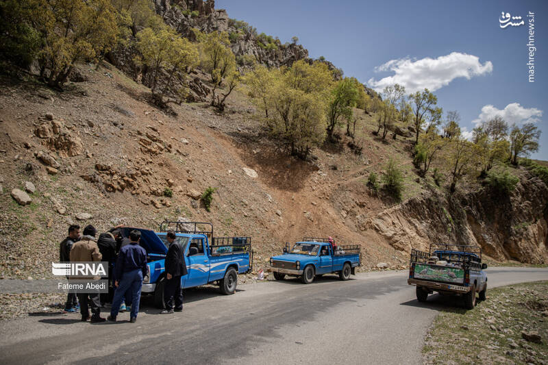 عکس / نیسان آبی 25