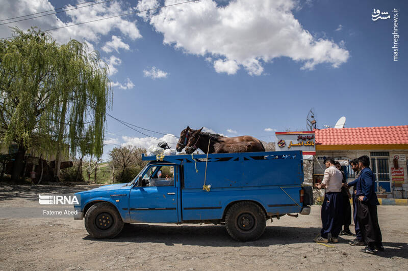 عکس / نیسان آبی 22