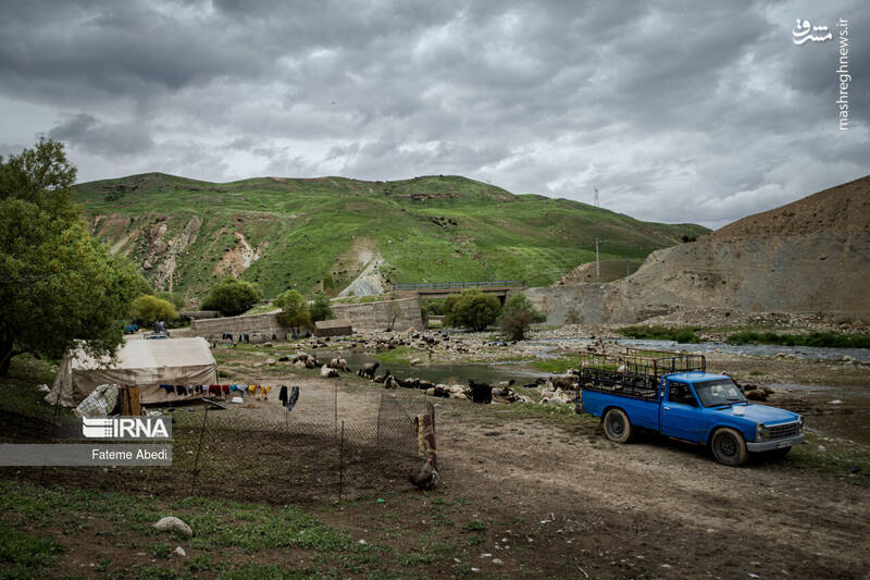 عکس / نیسان آبی 21