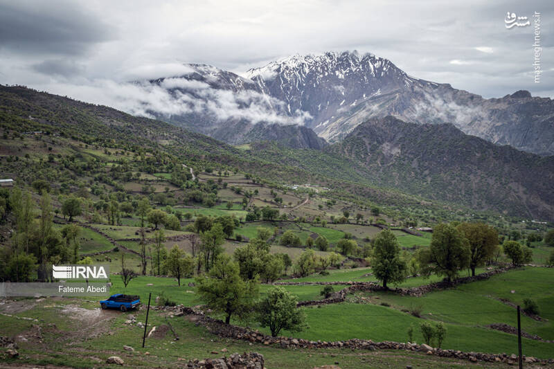 عکس / نیسان آبی 20