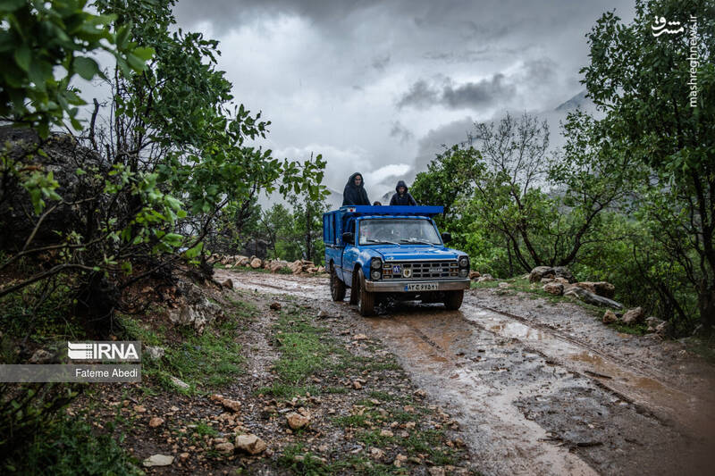عکس / نیسان آبی 15
