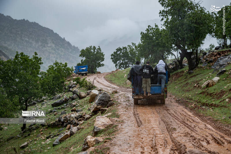 عکس / نیسان آبی 14