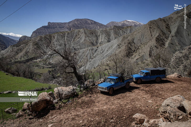 عکس / نیسان آبی 5