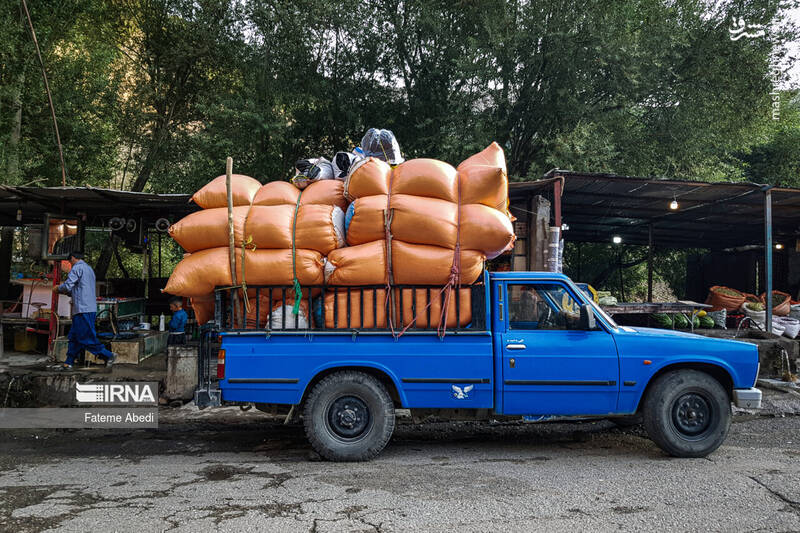 عکس / نیسان آبی 2