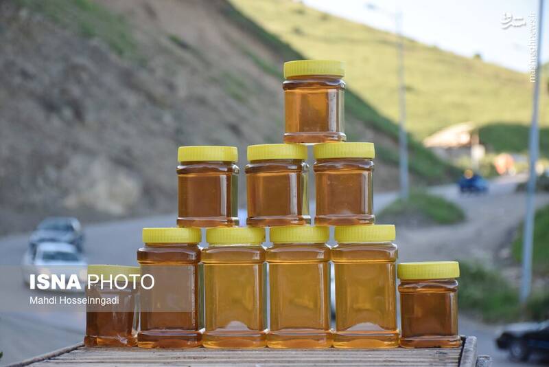 عکس / زنبورستانهای آستارا 23