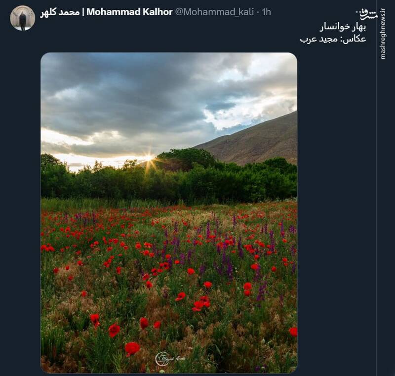 عکسی زیبا از بهار خوانسار