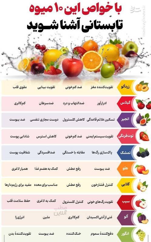 اینفوگرافیک / با خواص این 10 میوه تابستانی آشنا شوید