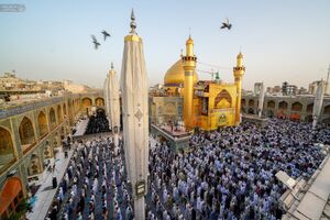 عکس / اقامه نماز عید قربان در حرم امیرالمومنین