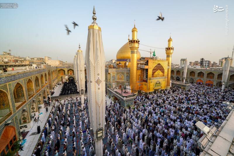 عکس / اقامه نماز عید قربان در حرم امیرالمومنین 2