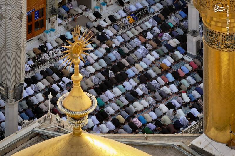 عکس / اقامه نماز عید قربان در حرم امیرالمومنین 7