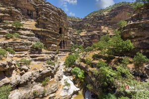 عکس / تنگه شیرز کوهدشت لرستان