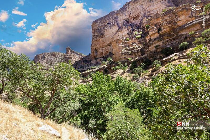 عکس / تنگه شیرز کوهدشت لرستان 14