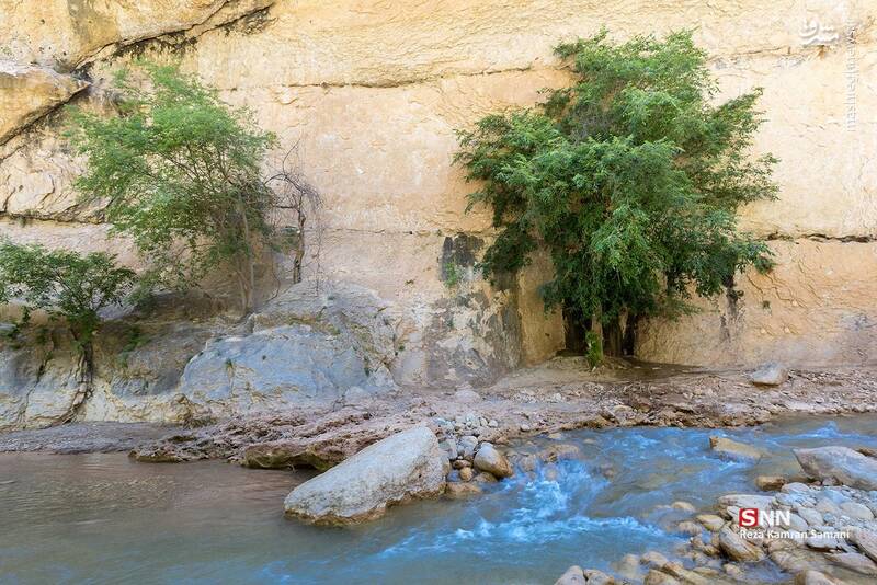 عکس / تنگه شیرز کوهدشت لرستان 6