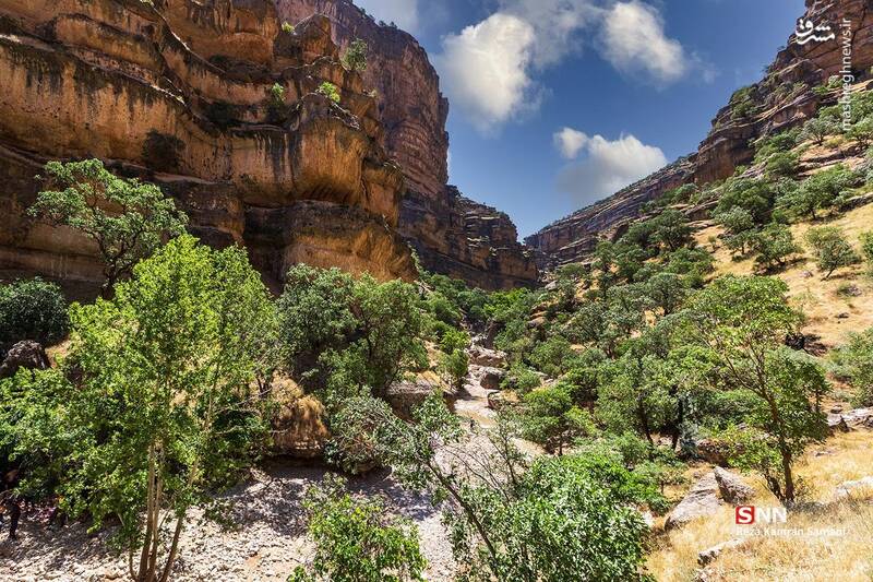 عکس / تنگه شیرز کوهدشت لرستان 5