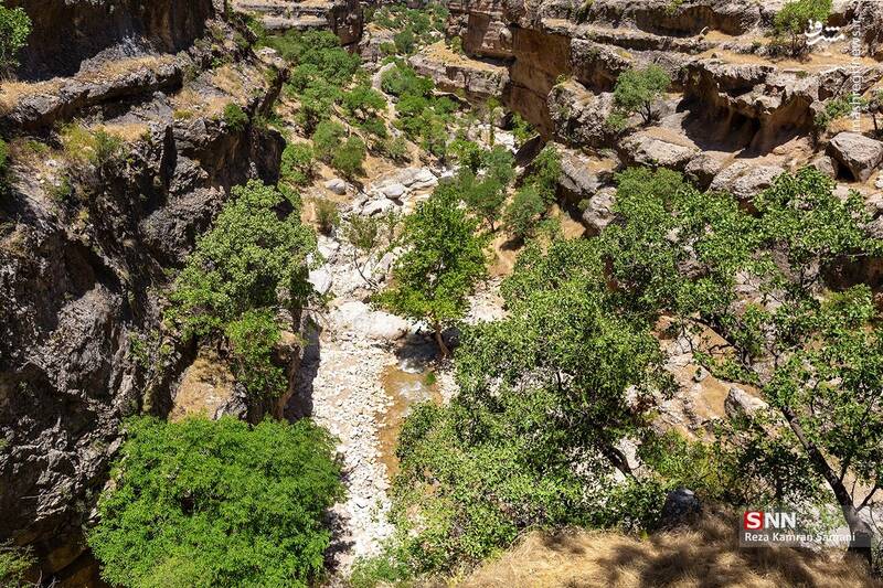 عکس / تنگه شیرز کوهدشت لرستان 2