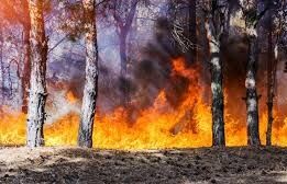 آتش‌سوزی مرگبار در نیومکزیکو