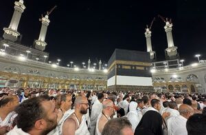 تا کنون ۱۱ مرد و ۳ زن زائر در حج ۱۴۰۳ جان باختهاند
