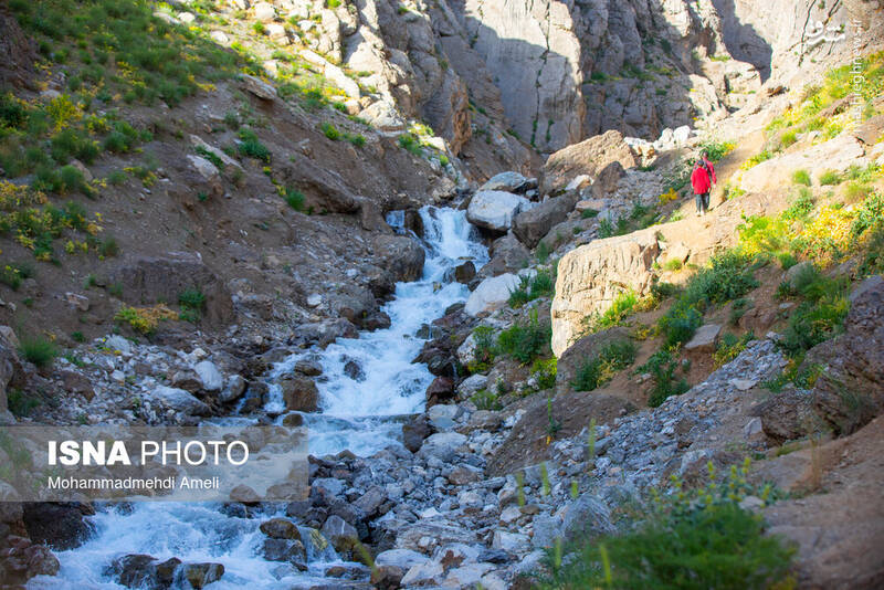 عکس / طبیعت بکر کمندان ازنا در لرستان 8
