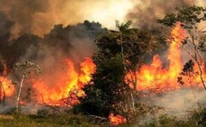گزارشی از مهار آتش در جنگل‌های پلدختر