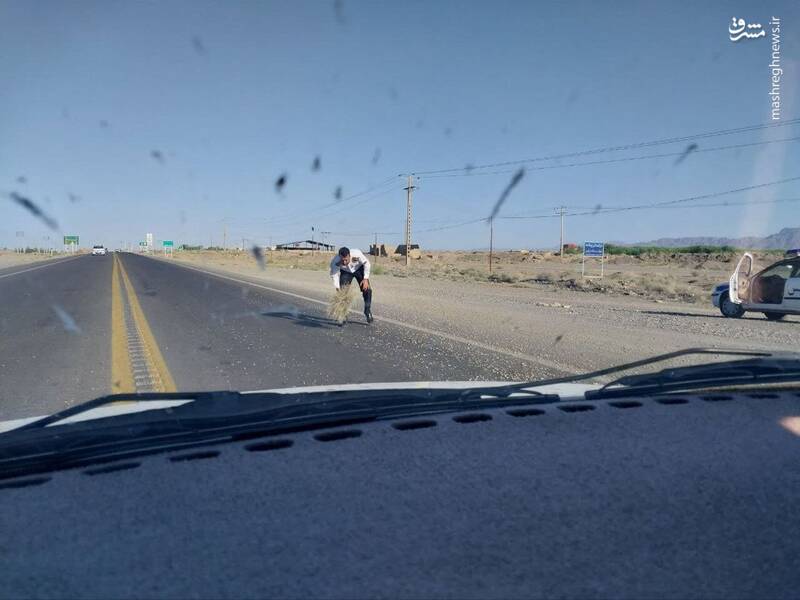 تنت سلامت آقای پلیس +عکس