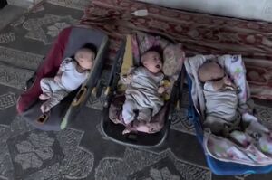 فیلم/ گریه و بی‌قراری سه قلوهای فلسطینی از شدت گرسنگی
