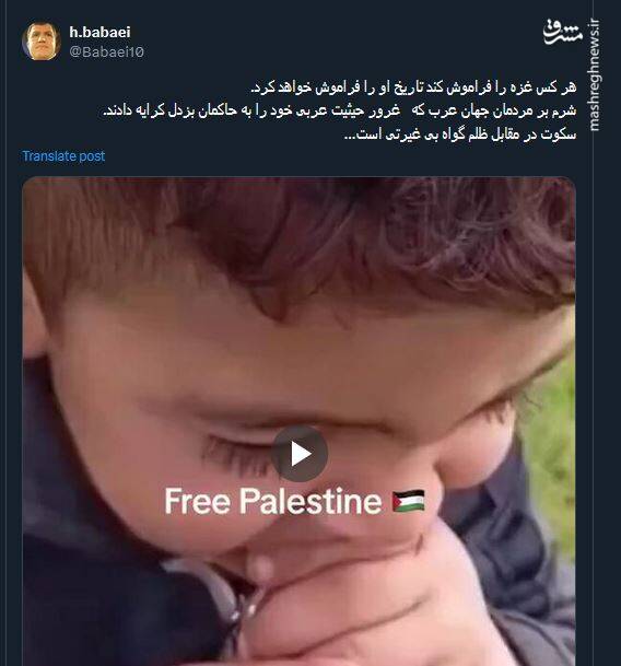 هر کس غزه را فراموش کند تاریخ او را فراموش خواهد کرد+ فیلم