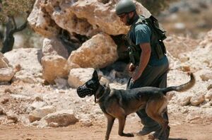 حمله سگ ارتش اسرائیل به یک زن مسن فلسطینی
