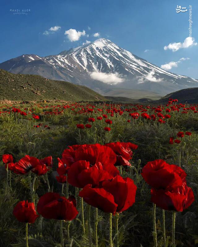 دماوندِ باشکوه 2