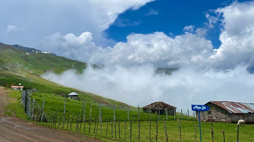 شمال کجا بریم که خنک باشه