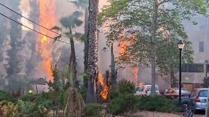فیلم/ آتش‌سوزی مهیب در منطقه بنی‌براک قدس اشغالی