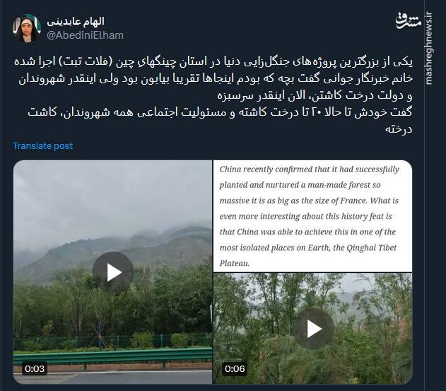 تصاویری از اجرای یکی از بزرگترین پروژههای جنگلزایی دنیا