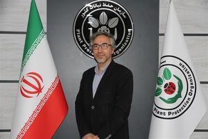 هجوم مگس مدیترانهای به باغهای گلستان