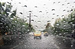فیلم/ شیراز در تابستان هم بارانی شد