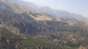 آتش مجدد در منطقه حفاظتشده سیوک شعلهور شد