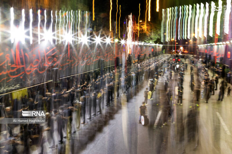 عکس/ شاخسی گویان تبریز