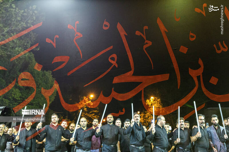 عکس/ شاخسی گویان تبریز