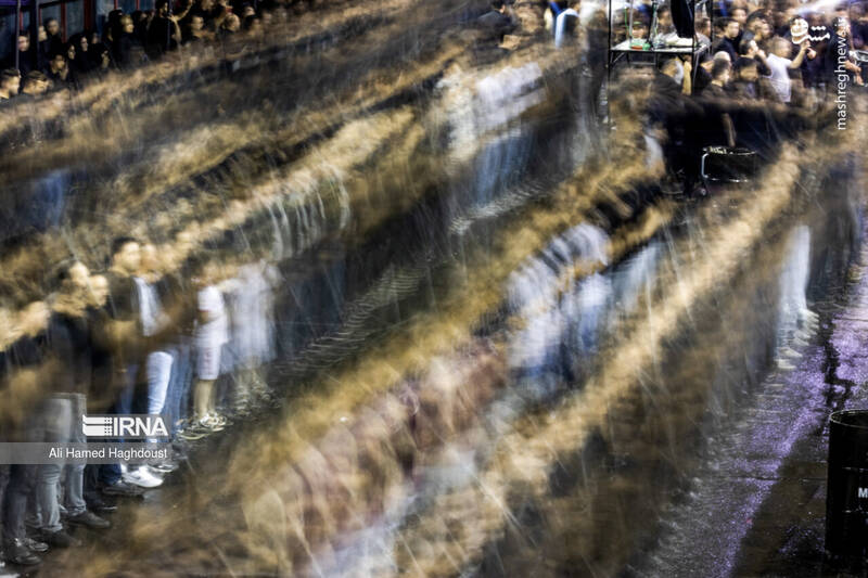 عکس/ شاخسی گویان تبریز