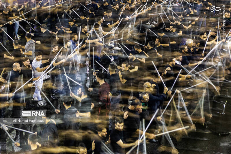 عکس/ شاخسی گویان تبریز