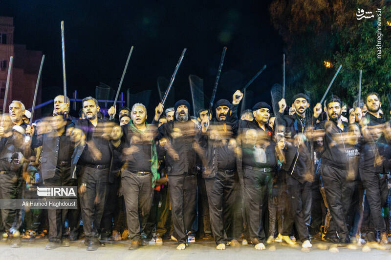 عکس/ شاخسی گویان تبریز