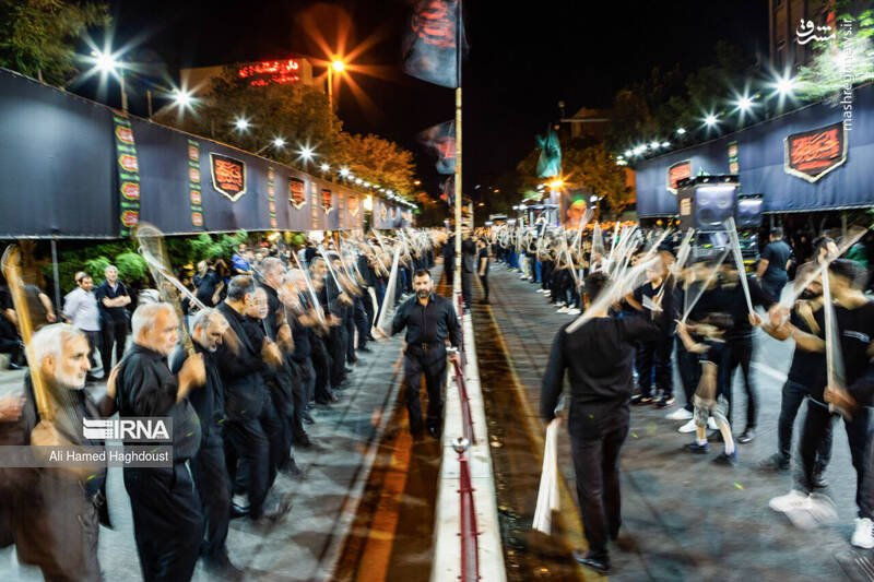 عکس/ شاخسی گویان تبریز