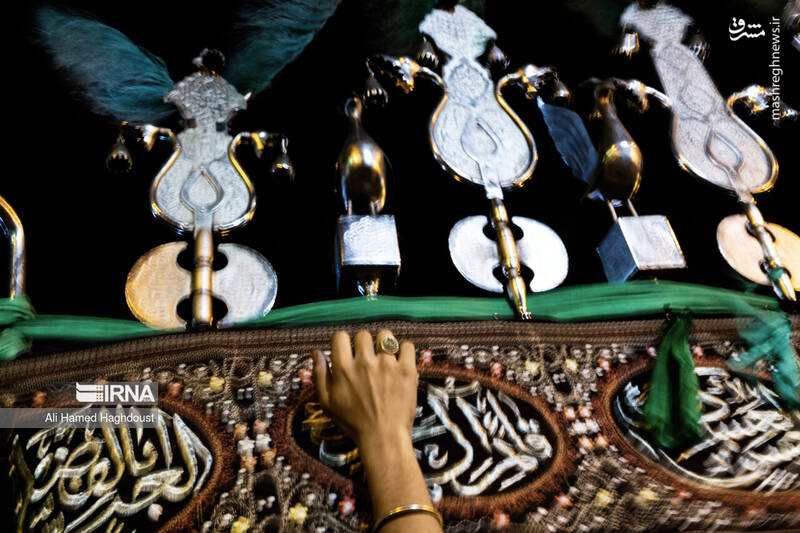 عکس/ شاخسی گویان تبریز