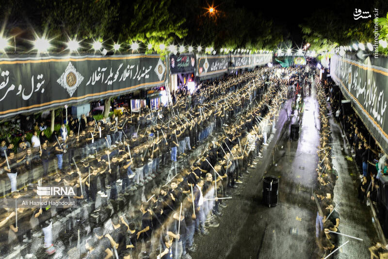 عکس/ شاخسی گویان تبریز